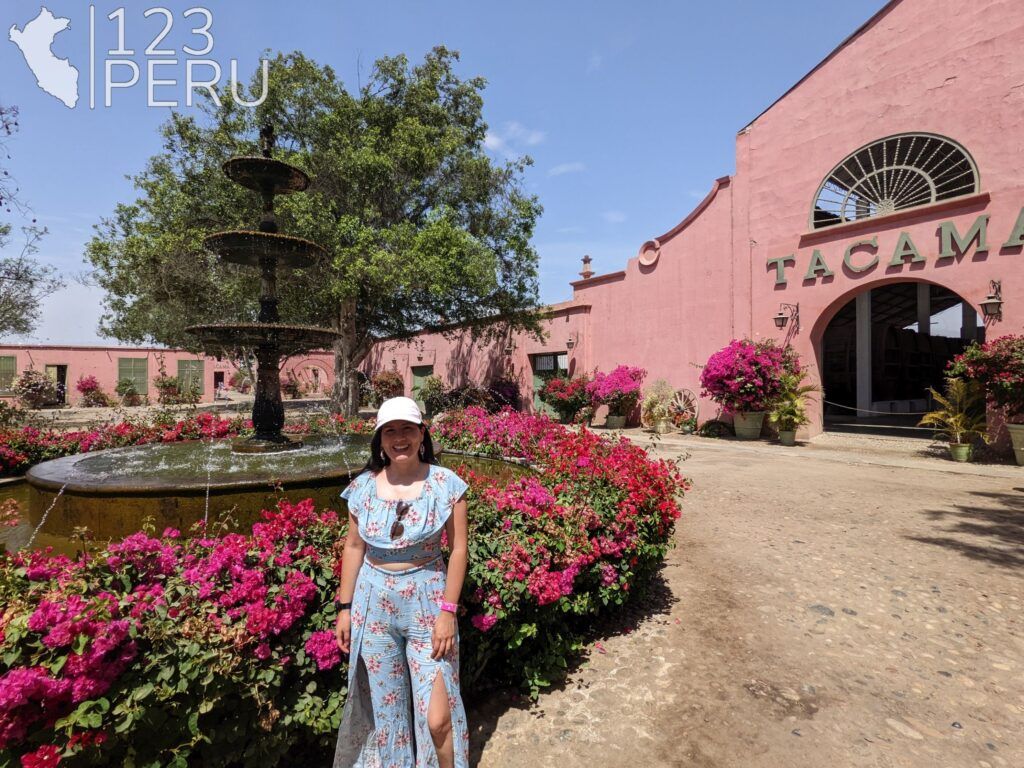 Hacienda Tacama, Ica