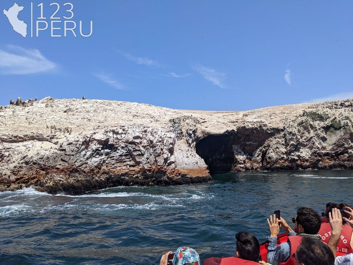 Ballestas Islands and Candelabro de Paracas - 123 Peru