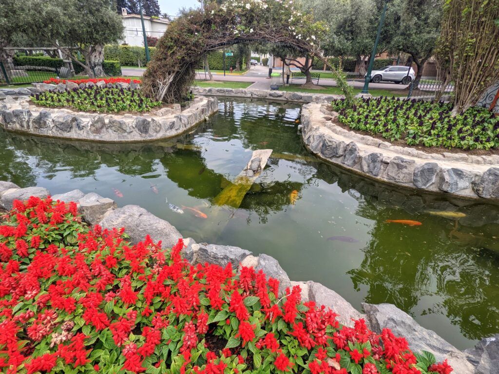 El Olivar Park, Lima - Peru